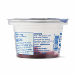 blueberry pomegranate blueberry pomegranate