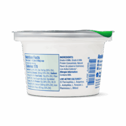 Plain Unsweetened 5.3oz back of cup